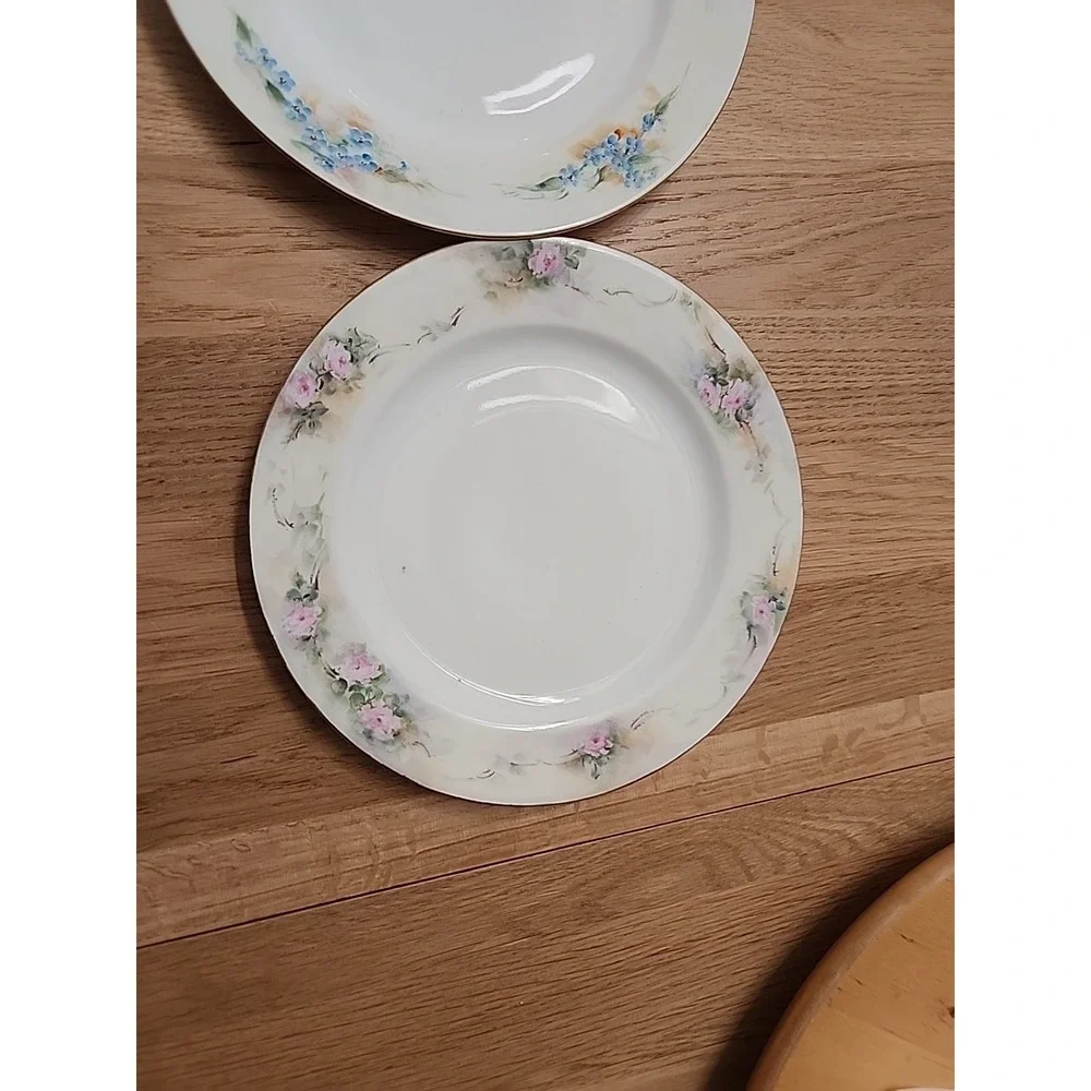 Antq (2) 1918 Haviland France Handpainted Blue Pink Roses Floral Plates Mismatch